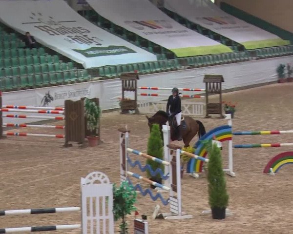 FEI Reitturnier Kreuth (GER) 2017