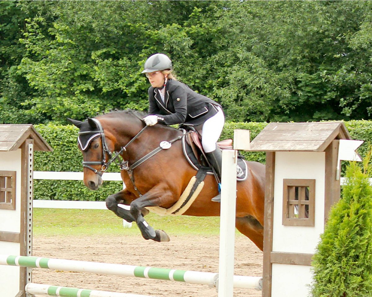 broodmare Dogaressa ES (German Riding Pony, 2010, from Baron)