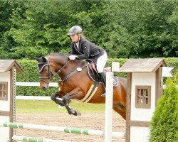 broodmare Dogaressa ES (German Riding Pony, 2010, from Baron)