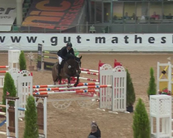 FEI Reitturnier Kreuth (GER) 2017