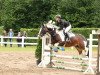 dressage horse Heat Tiger Lily (UK Warmblood, 2009)