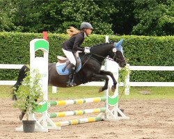 dressage horse Holsteins Sina (German Riding Pony, 1995, from Rosedale Falcon)