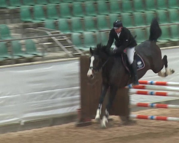 FEI Reitturnier Kreuth (GER) 2017