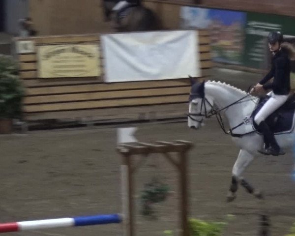 Reitturnier Stall Friedrichshulde, Sylva Kuhrt 2017