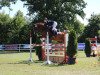 jumper Santiago 269 (German Sport Horse, 2010, from San Muscadet)