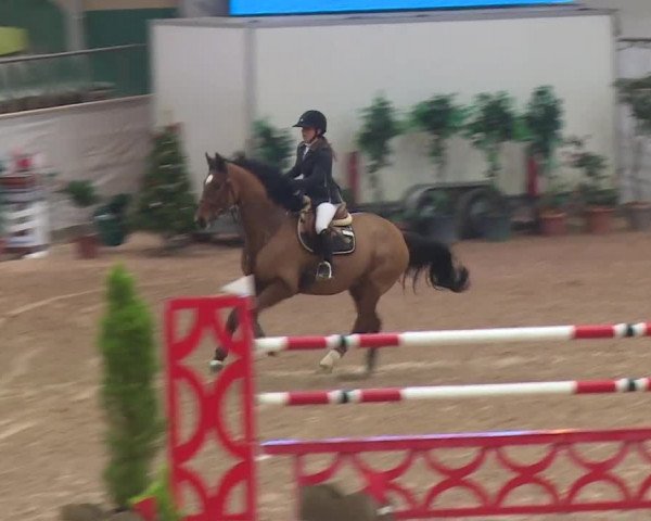 FEI Reitturnier Kreuth (GER) 2017