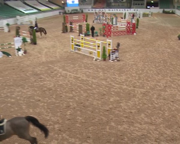 FEI Reitturnier Kreuth (GER) 2017