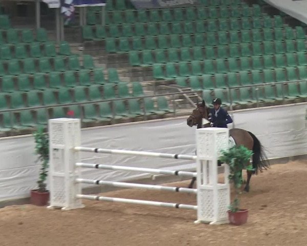 FEI Reitturnier Kreuth (GER) 2017