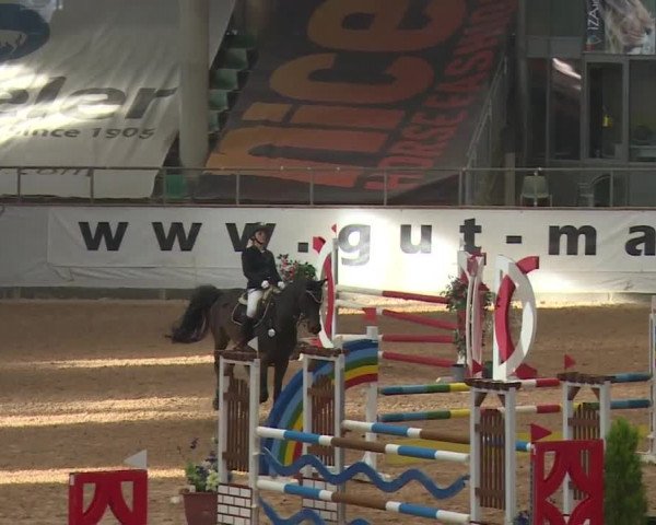 FEI Reitturnier Kreuth (GER) 2017