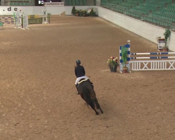FEI Reitturnier Kreuth (GER) 2017
