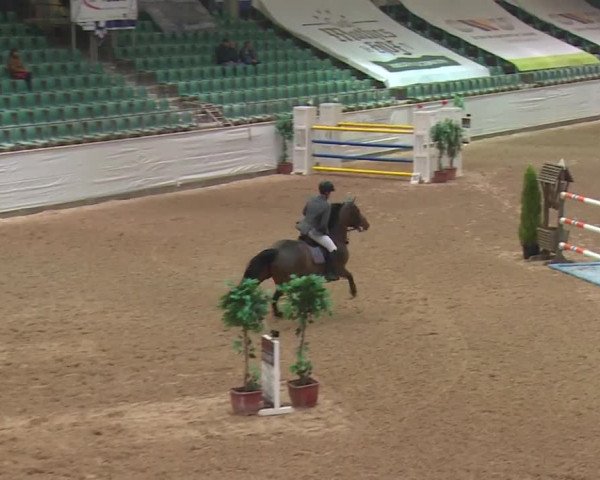 FEI Reitturnier Kreuth (GER) 2017