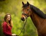 dressage horse Riccionado (Westphalian, 2006, from Riccione)