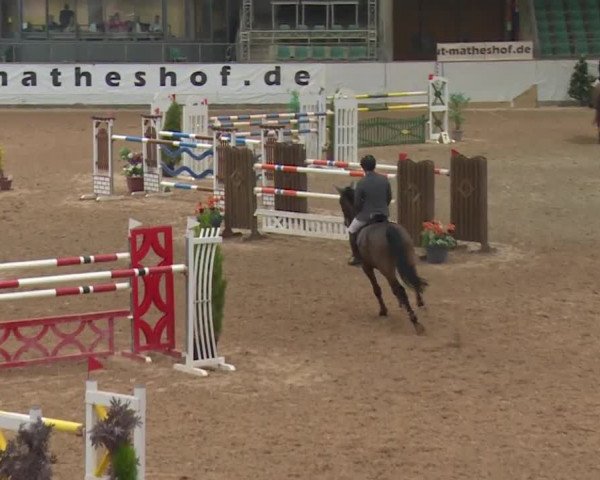 FEI Reitturnier Kreuth (GER) 2017