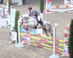 jumper Casino 92 (Oldenburg show jumper, 2013, from Casino Berlin OLD)