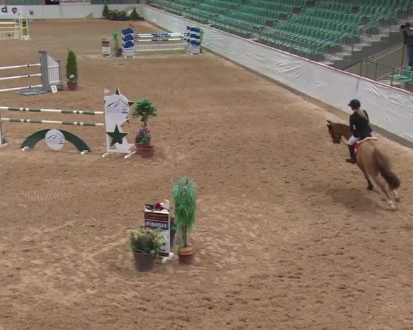 FEI Reitturnier Kreuth (GER) 2017