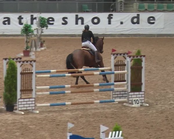 FEI Reitturnier Kreuth (GER) 2017