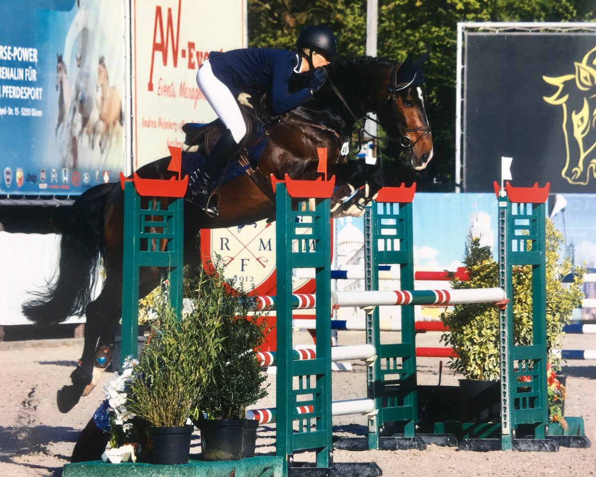 jumper Emil van Schnuffel (KWPN (Royal Dutch Sporthorse), 2013, from Emilion)