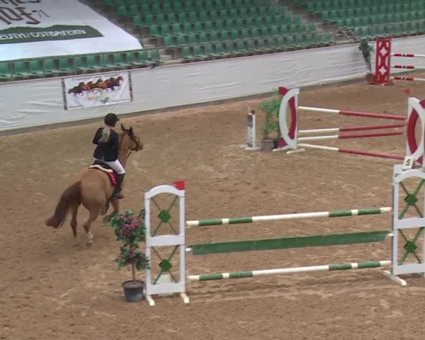 FEI Reitturnier Kreuth (GER) 2017