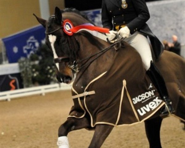 dressage horse Liza Minelli (Swedish Warmblood, 1998, from Cortez I)
