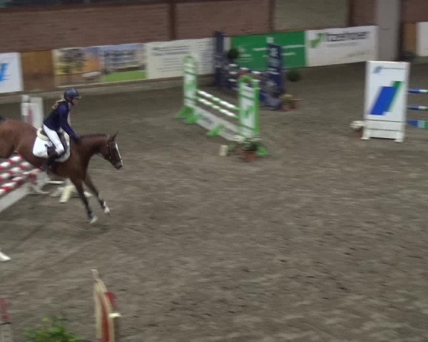 Reitturnier Stall Friedrichshulde, Sylva Kuhrt 2017