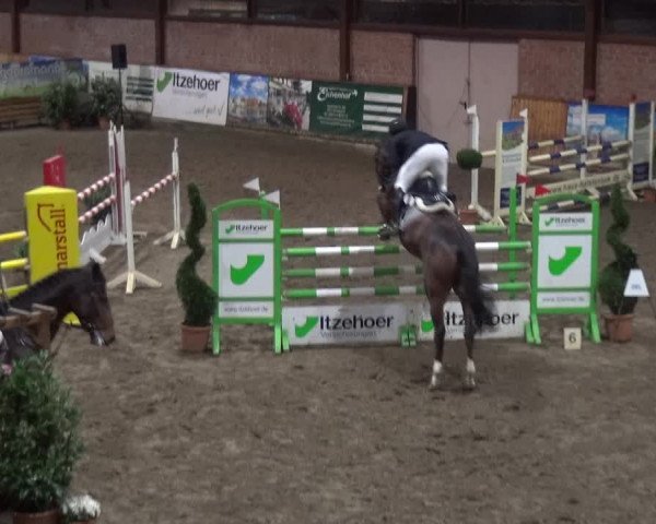 Reitturnier Stall Friedrichshulde, Sylva Kuhrt 2017