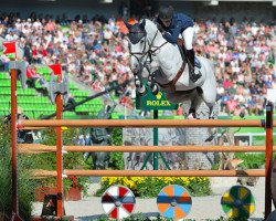 broodmare Camille Z (Zangersheide riding horse, 2003, from Cumano)