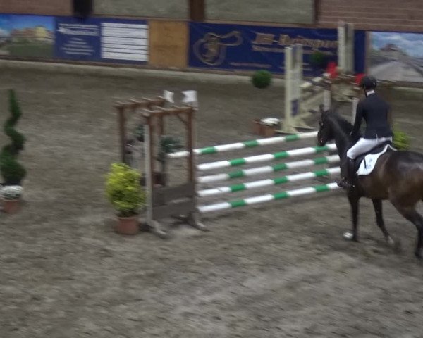 Reitturnier Stall Friedrichshulde, Sylva Kuhrt 2017