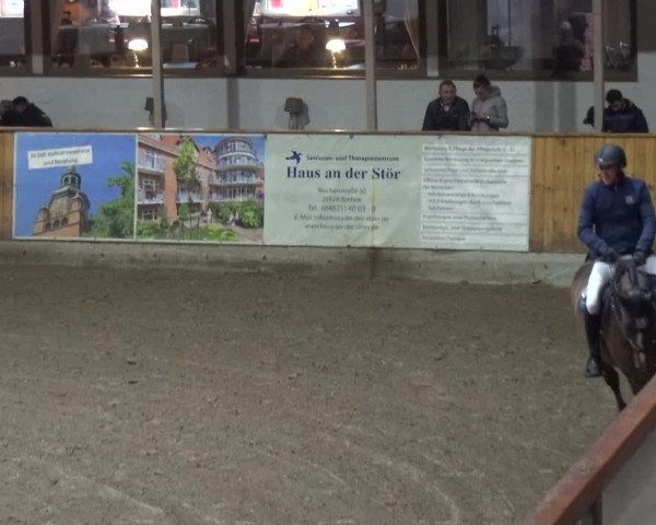 Reitturnier Stall Friedrichshulde, Sylva Kuhrt 2017