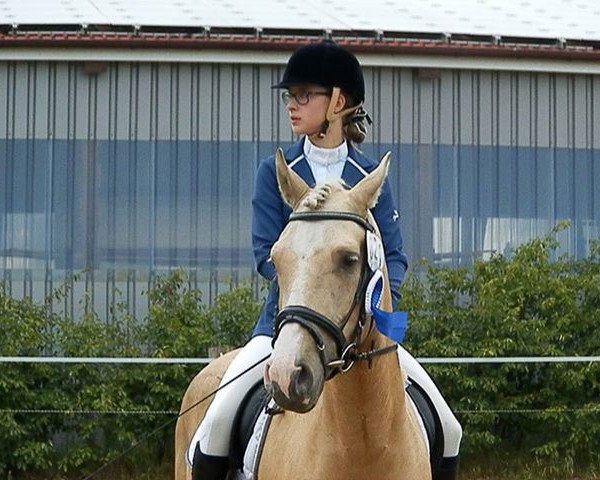 dressage horse Ricardero Ver Gold AS (German Riding Pony, 2010, from Rheingold)