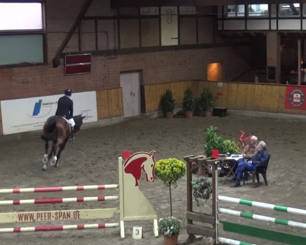Reitturnier Stall Friedrichshulde, Sylva Kuhrt 2017