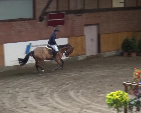 Reitturnier Stall Friedrichshulde, Sylva Kuhrt 2017