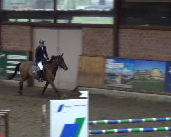 Reitturnier Stall Friedrichshulde, Sylva Kuhrt 2017