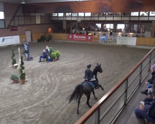 Reitturnier Stall Friedrichshulde, Sylva Kuhrt 2017