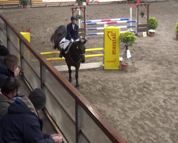 Reitturnier Stall Friedrichshulde, Sylva Kuhrt 2017