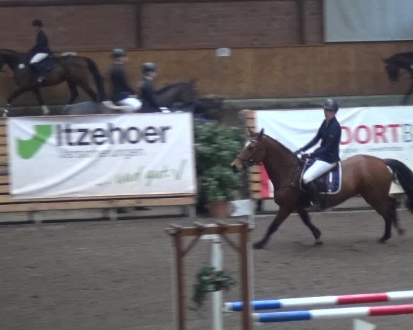 Reitturnier Stall Friedrichshulde, Sylva Kuhrt 2017