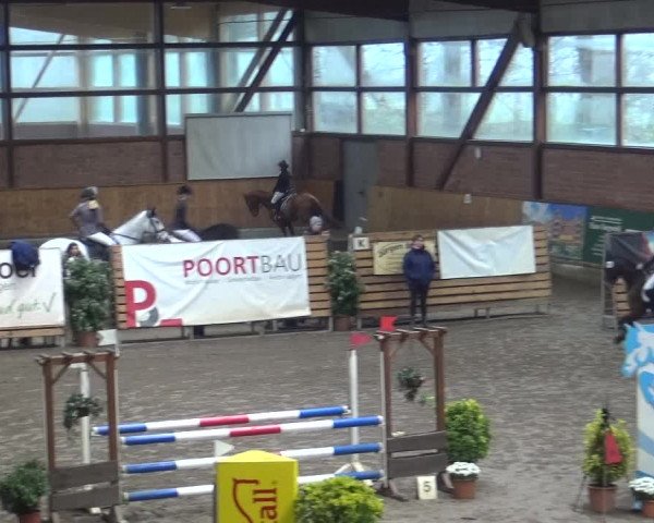 Reitturnier Stall Friedrichshulde, Sylva Kuhrt 2017