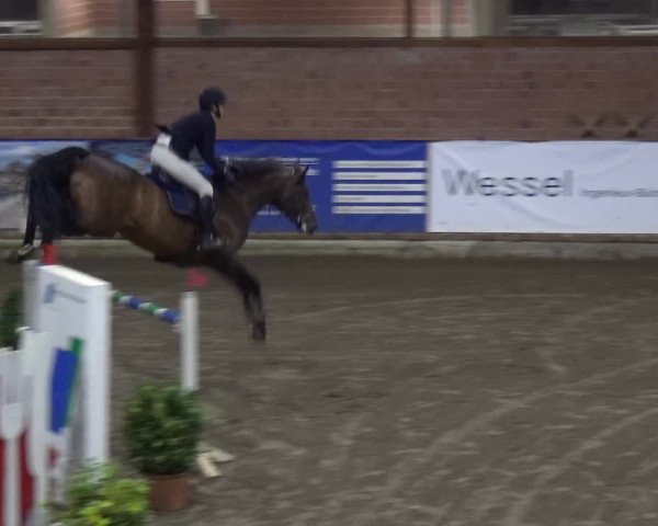 Reitturnier Stall Friedrichshulde, Sylva Kuhrt 2017