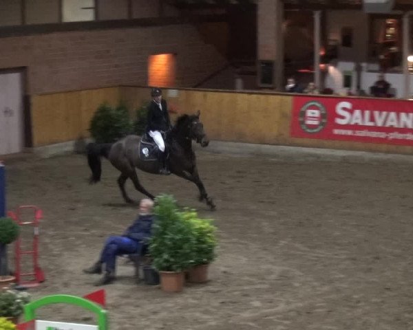 Reitturnier Stall Friedrichshulde, Sylva Kuhrt 2017