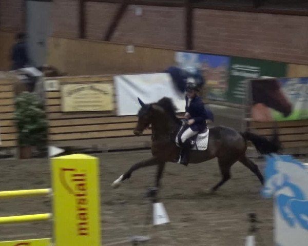 Reitturnier Stall Friedrichshulde, Sylva Kuhrt 2017