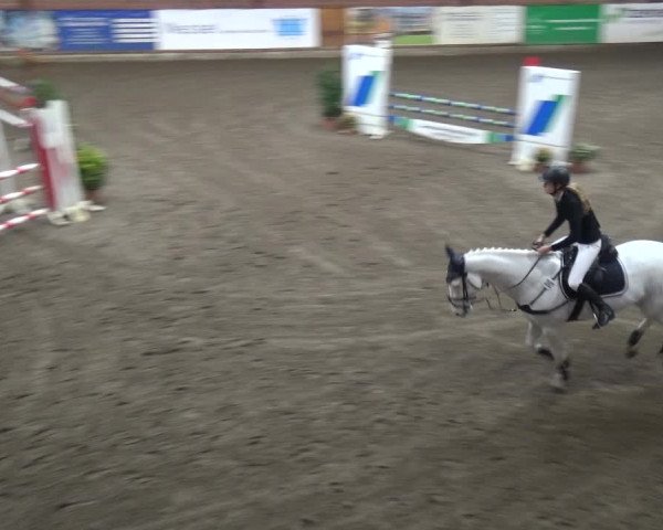 Reitturnier Stall Friedrichshulde, Sylva Kuhrt 2017