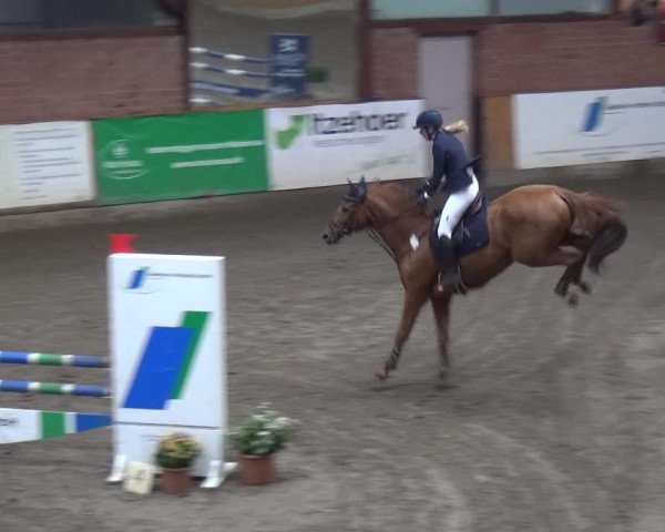 Reitturnier Stall Friedrichshulde, Sylva Kuhrt 2017