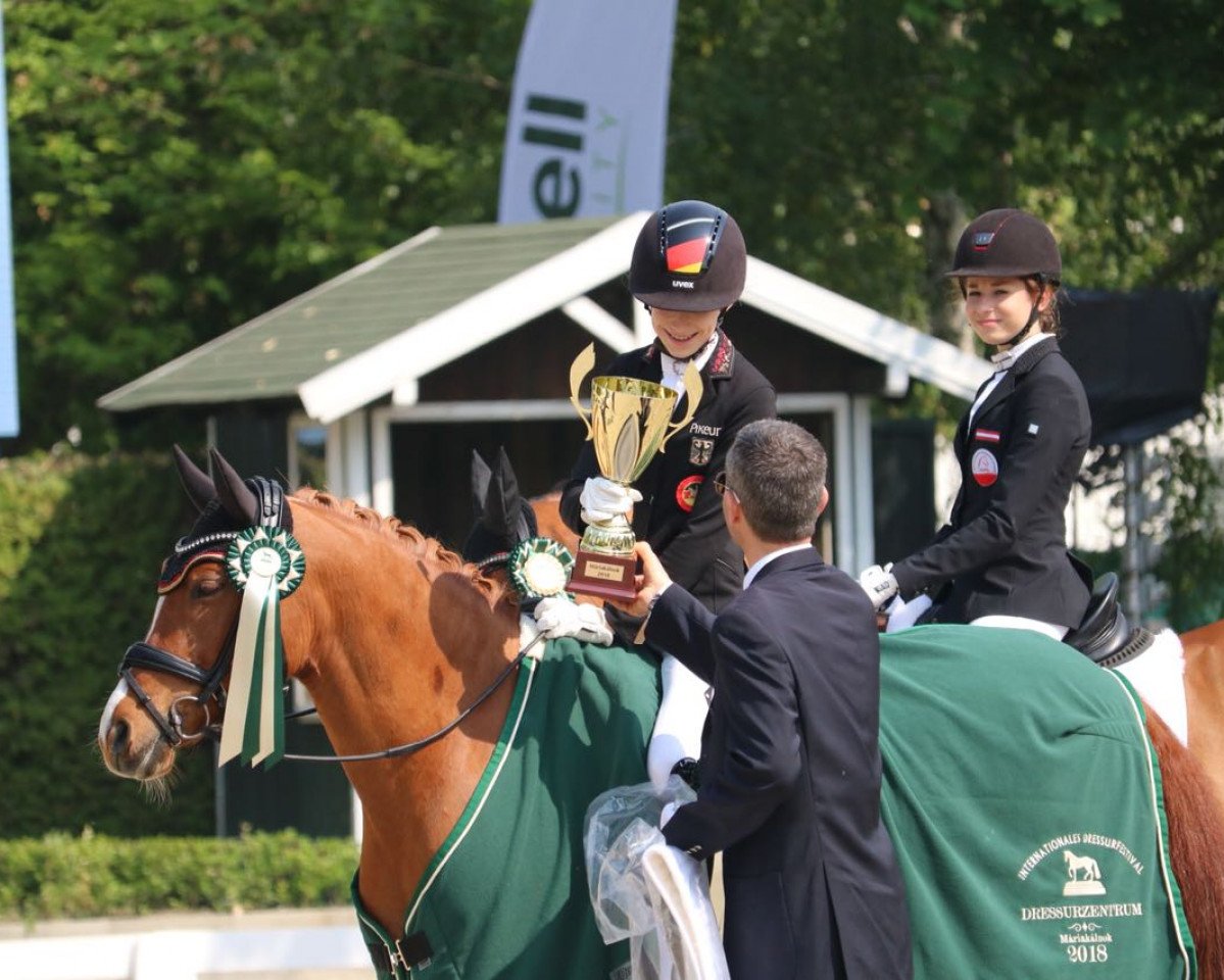 stallion Classic Dream FH (German Riding Pony, 2008, from FS Chambertin)
