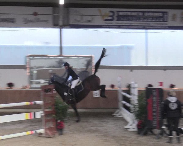 Reitturnier Südlohn-Oeding 2017