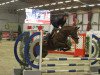 jumper La Calera 7 (Hanoverian, 2008, from Le Primeur)