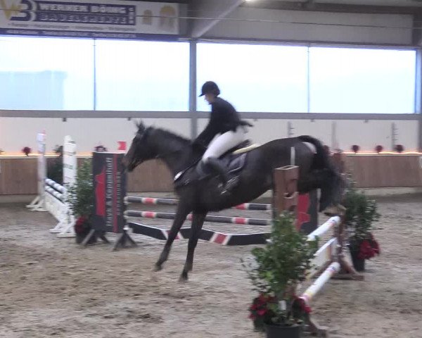 Reitturnier Südlohn-Oeding 2017