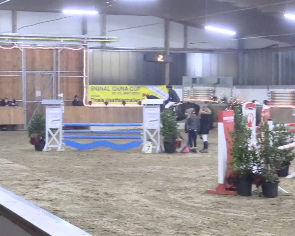 Reitturnier Südlohn-Oeding 2017