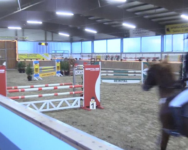 Reitturnier Südlohn-Oeding 2017