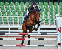 jumper Chicchepit Z (Zangersheide riding horse, 2011, from Chopin van het Moleneind)