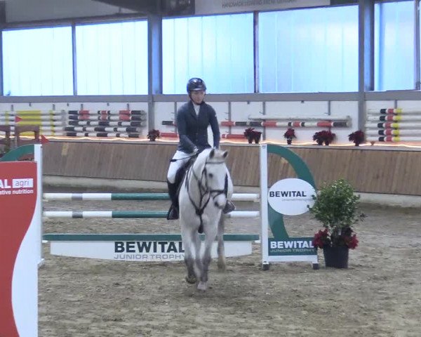 Reitturnier Südlohn-Oeding 2017