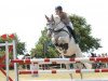 broodmare Milky Way 75 (German Warmblood, 2008, from Cottbus)